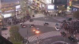 【速報】渋谷スクランブル交差点でペットボトルに入った灯油まいたか　火をつけたとみられる50代の男確保　けが人なし|TBS NEWS DIG