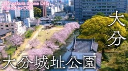 大分城址公園 大分県大分市【JNN sakuraドローンDIG】|TBS NEWS DIG
