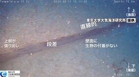 能登半島沖で海底の段差を発見 断層のずれで形成か 東大などが撮影に成功|TBS NEWS DIG