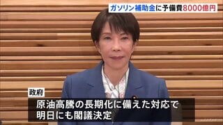 ガソリン補助金に今年度予備費から8000億円程度を支出へ　原油高騰の長期化に備えた対応| TBS CROSS DIG with Bloomberg