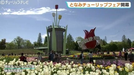 2026となみチューリップフェア開幕…350万本の絶景に感動！大花壇の地上