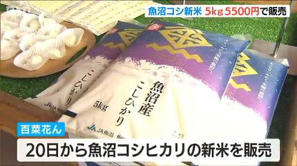 東京で買うと2000円違う」5kgで5500円『魚沼産コシヒカリ』新米の“試食 