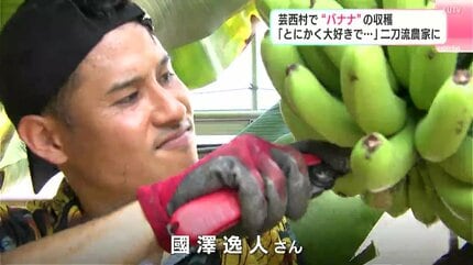 とにかく大好きで」二刀流農家に 高知県芸西村で“バナナ”の収穫 | 高知