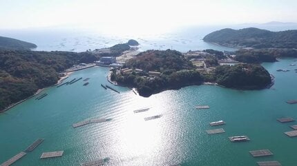 一族のために死んでくれ」母親が子どもに泣いて頼んだ 「ハンセン病」