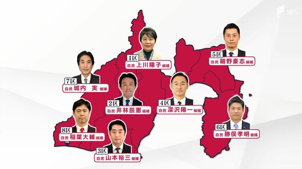 静岡の8選挙区全てで自民党候補が当選 静岡4区に出馬の国民・田中健氏が比例復活【衆議院選挙2026】　|　静岡のニュース | SBSNEWS | 静岡放送