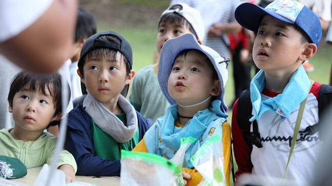 夜の森にカナブンやセミ…夏休み昆虫観察会 大分|TBS NEWS DIG