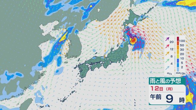 【台風情報】台風5号（マリア）はやや発達しながら日本の東の海上へ 西よりに進めば週末から週明け関東や東北へ影響大きく 進路予想・雨と風シミュレーション|TBS NEWS DIG