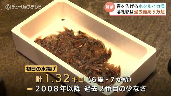 7か所の定置網で “わずか1.3キロ” 富山湾の神秘「ホタルイカ漁」解禁も網には大量の “イワシ” 浜値は過去最高を記録 富山・滑川市|TBS NEWS DIG