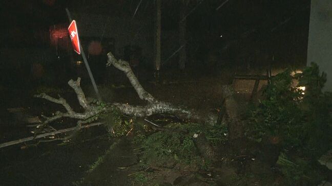 強い台風13号 奄美で猛烈な雨…総雨量は平年ひと月の8割に 土砂災害・高波に警戒 鹿児島|TBS NEWS DIG