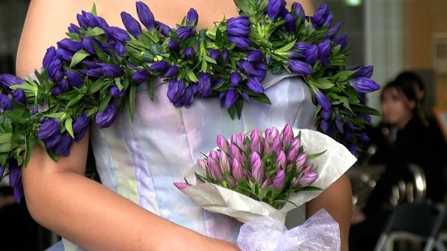 リンドウの生花を使ったドレスとは　市の特産品を使って地域を元気にする新たなブランディングに地域で挑戦【岡山】|TBS NEWS DIG
