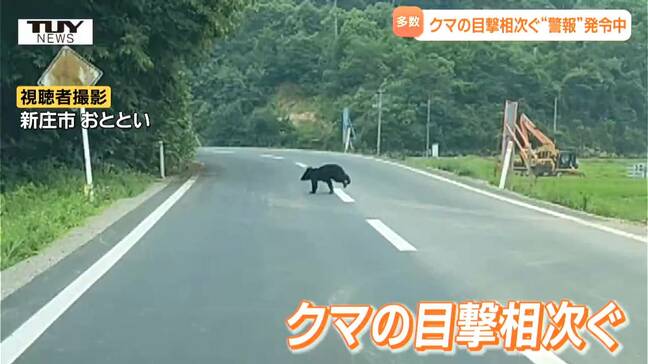 横切る瞬間がカメラに...県内でクマの目撃相次ぐ 県は8月31日までクマ出没警報発令(山形)|TBS NEWS DIG