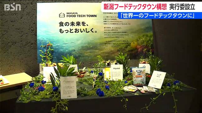 新潟の豊かな「食」を活用 新たなビジネス創出へ　NSGとオイシックスが「フードテックタウン実行委員会」を設立|TBS NEWS DIG
