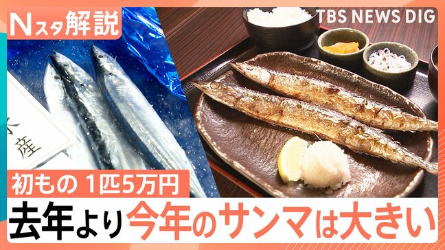 秋の味覚「サンマ」が初競り1キロ25万円の過去最高値　高値の理由は「鮮度」と「コスト」【Nスタ解説】|TBS NEWS DIG