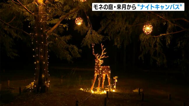 心癒す光の揺らめき モネの庭で11月から“ナイトキャンバス”|TBS NEWS DIG