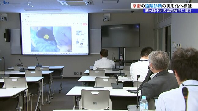 獣医師不足に伴う課題の解決に向けた一歩となるか? 衛星×遠隔診断を岩手大が検証 岩手|TBS NEWS DIG