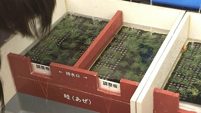 水田を活用した洪水防止の「田んぼダム」 小学生が仕組みや効果を学ぶ 大分 |TBS NEWS DIG