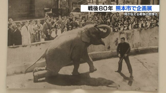 絵本、ポスター、殺処分されたゾウの骨…約200点が伝える“戦時下の日常”|TBS NEWS DIG