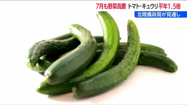 7月はトマト・キュウリが平年の1.5倍に値上がり見込み…タマネギも高値予測 一方でレタスは“お買い得”に|TBS NEWS DIG
