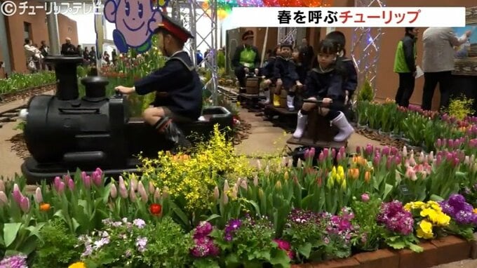 一足早く1万本以上の花が咲く「春を呼ぶチューリップ展」 富山・砺波市  　|　富山のニュース｜天気・防災｜チューリップテレビ
