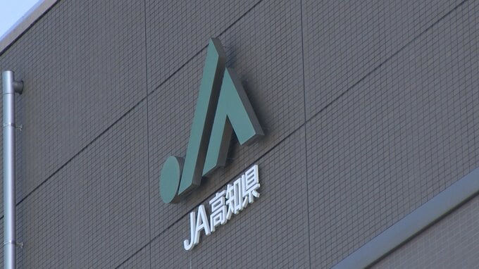 19都府県に出荷された「シシトウ」から残留基準値超えの農薬成分検出　健康被害のおそれないものの約55キロの回収進める　JA高知県 　|　高知のニュース・天気｜KUTV NEWS | KUTVテレビ高知