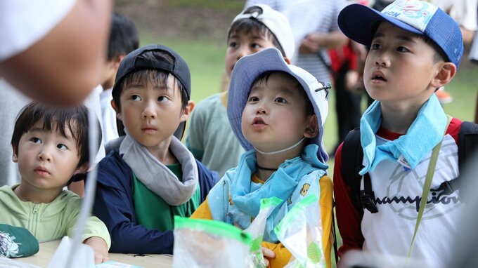 夜の森にカナブンやセミ…夏休み昆虫観察会　大分|TBS NEWS DIG
