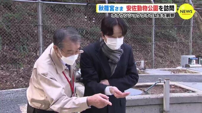 オオサンショウウオを視察　秋篠宮さま　広島市安佐動物公園を訪問　|　RCC NEWS | 広島ニュース | RCC中国放送
