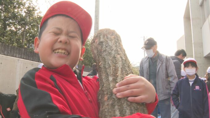 「汁とかすき焼きに入れていっぱい食べたい」児童がシイタケの駒打ち体験　収穫には２年　山口県長門市　|　山口のニュース・天気・防災｜tys NEWS｜ｔｙｓテレビ山口