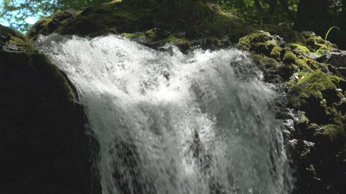 “涼を求めて”　富士吉田市民の夏の癒しスポット・鐘山の滝　|　山梨のニュース | ＵＴＹテレビ山梨