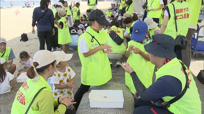 海のゆりかご「アマモ」で環境について学ぶ　西部ガスがアマモ場づくり　|　福岡のニュース｜RKB NEWS｜RKB毎日放送