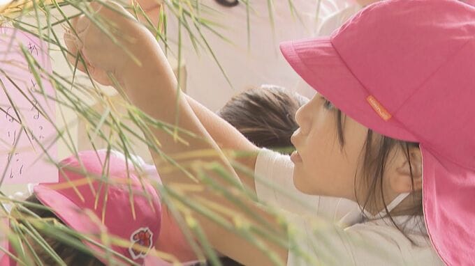 園児が七夕で交通ルール学ぶ　交通安全の願いごと飾って　山口・岩国|TBS NEWS DIG