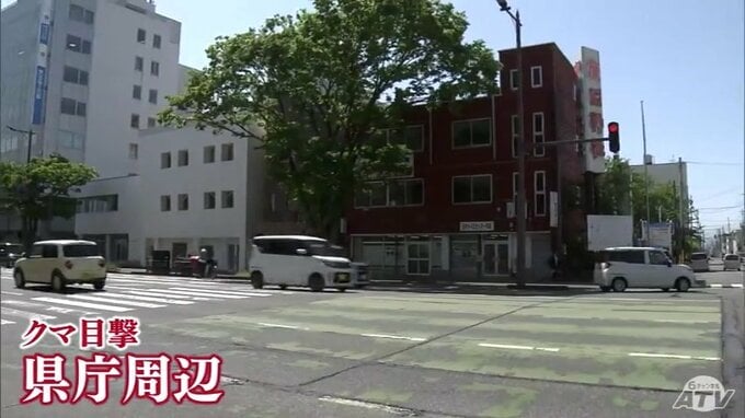青森県庁周辺でも…　廣田神社から国道を東に走るクマ1頭が目撃　「緊急銃猟」の実施も検討　相次ぐ青森市内でのクマの目撃情報　25件にまでのぼり市は対応レベルを最大級の緊急対策まで引き上げ|TBS NEWS DIG