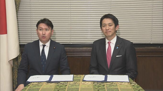 「OTC類似薬」の保険給付見直し、患者に追加負担求める新たな仕組みを創設へ　自民・維新が合意