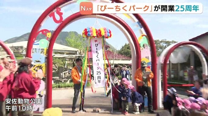 安佐動物公園「ぴーちくパーク」２５周年　かつての子どもが“親”になり再訪「昔のまま」　大人の乗馬体験も　広島|TBS NEWS DIG