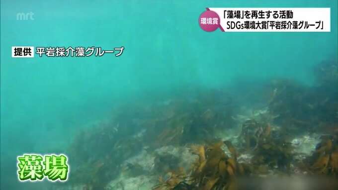 「ウニが一平米あたり100個以上。それをずっとハンマーで潰して行く」藻場の再生に取り組む“平岩採介藻グループ”　MRT環境賞受賞　|　MRTニュース ｜ ＭＲＴ宮崎放送