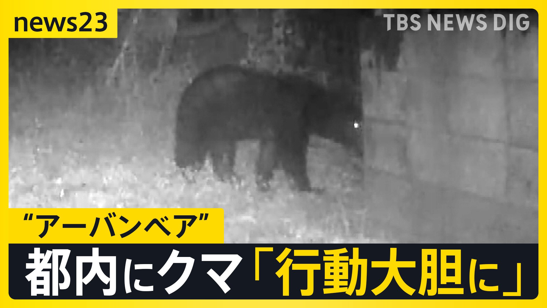 東京住宅街に“体長1m以上”のクマ出没「段々と行動大胆に…」生活圏に