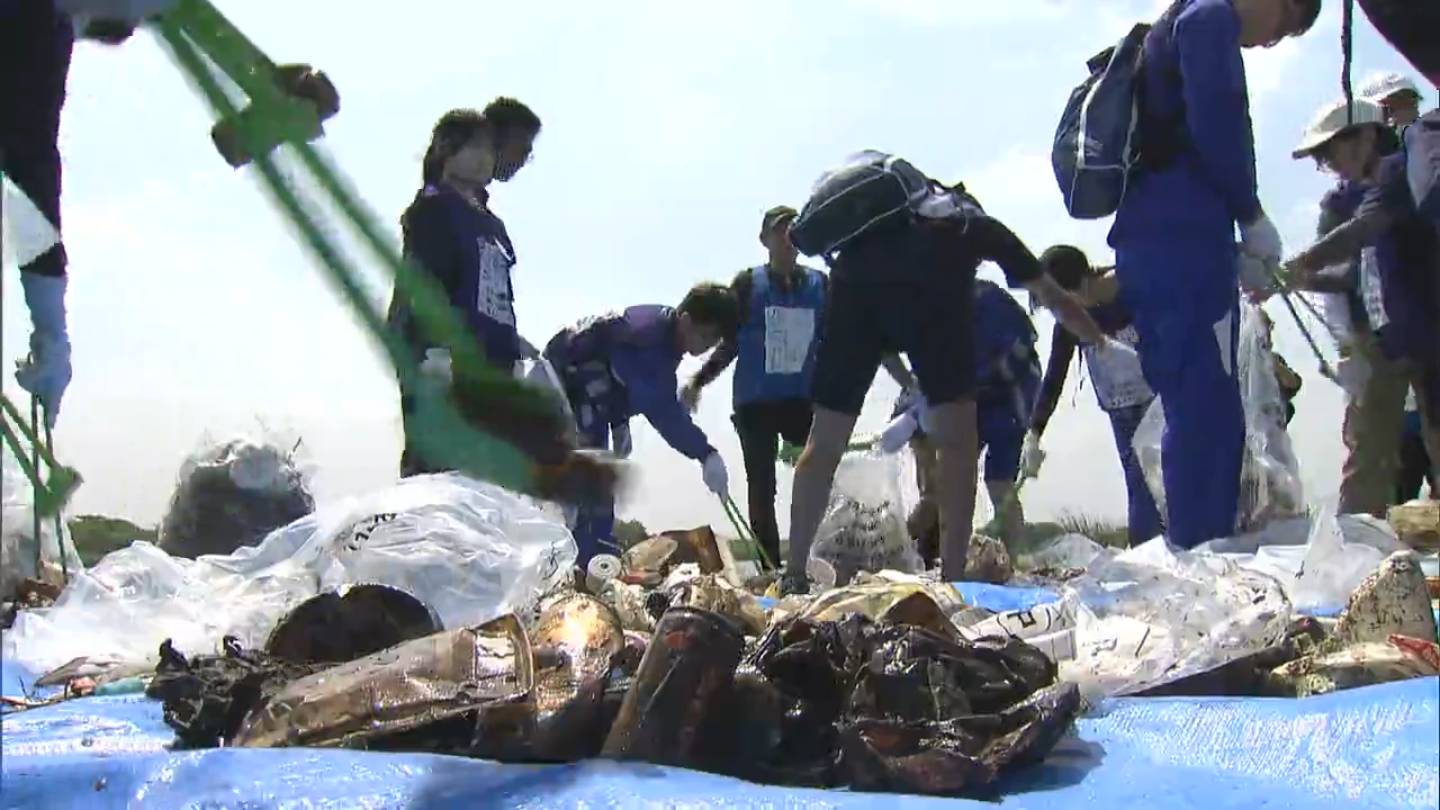 img_49502f35a488ae8f500223525d