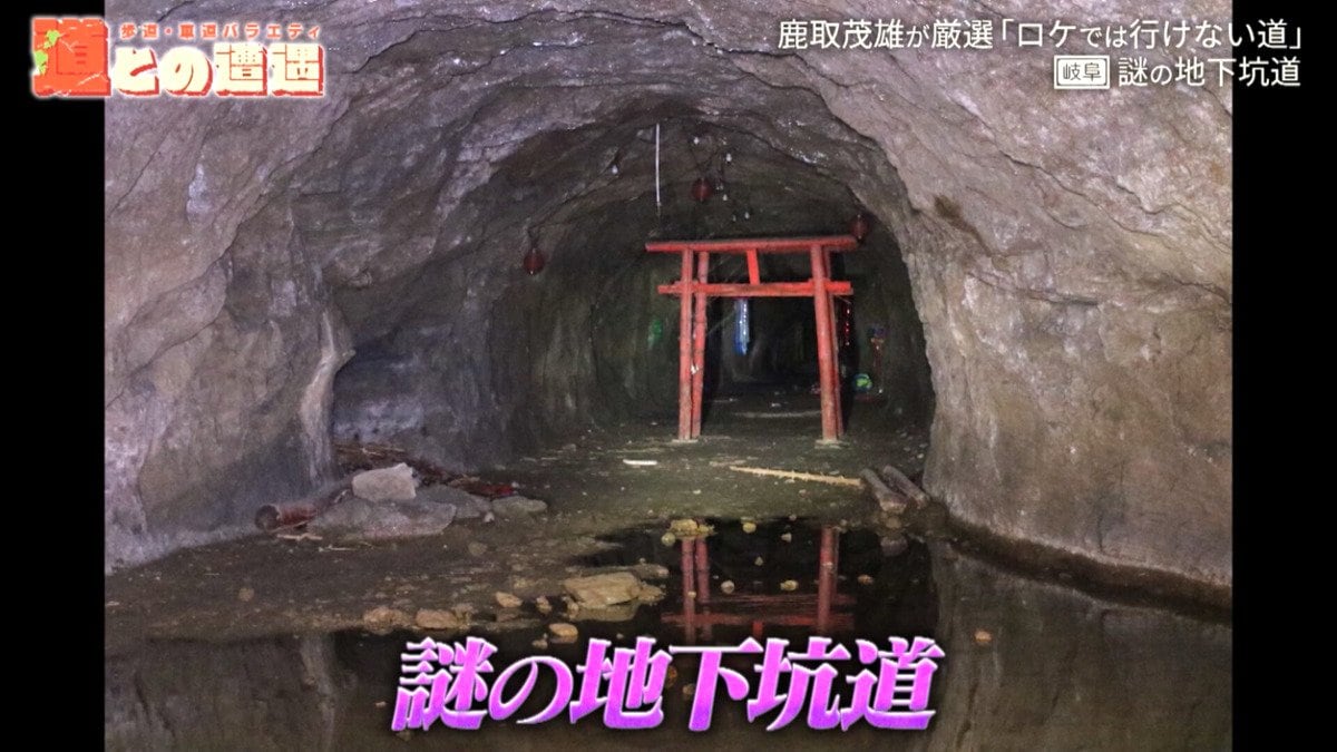浸水した立ち入り禁止の坑道に佇む“謎の鳥居”！？岐阜にあるかつての