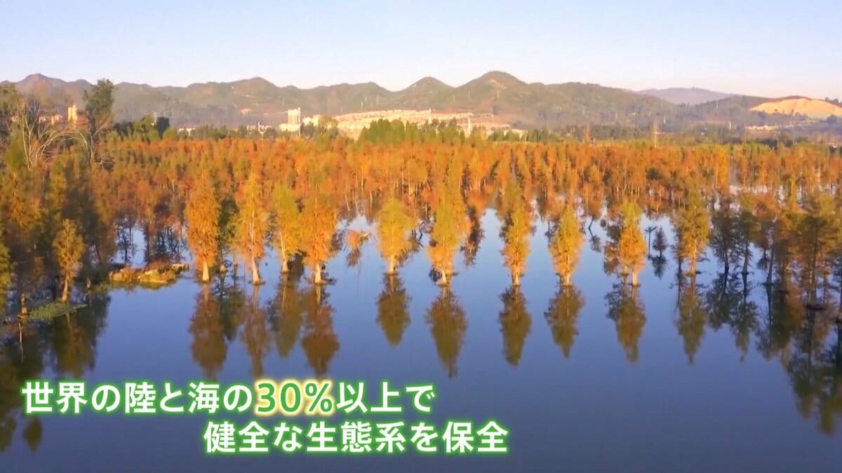「COP15」大詰め 「生物多様性の保全」に向け2030年までの目標採択へ…「30by30」とは 絶滅危惧種「ゼニタナゴ」の野生復帰目指す民間 ...