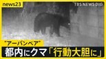 東京住宅街に“体長1m以上”のクマ出没「段々と行動大胆に…」生活圏に徐々に近づく“アーバンベア”対策グッズの最前線は？【news23】|TBS NEWS DIG