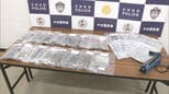 営利目的で乾燥大麻所持か　山口組系組幹部ら男女４人を逮捕|TBS NEWS DIG