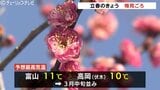 春の便り！立春の4日…植物園で梅がほころび始める　最高気温11℃予想　3月並みの陽気も朝はマイナス0.9℃|TBS NEWS DIG