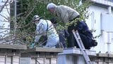 市街地の中心でクマが商業施設内に留まる 獣医師が吹き矢で麻酔かけ捕獲 岩手・釜石市|TBS NEWS DIG