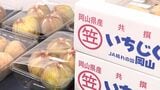 イチジクに味付け海苔に北木石のアクセサリー 特産品約90種類を集めた「かさおかフェア」 岡山高島屋で2日まで【岡山】|TBS NEWS DIG