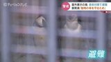 「ペンギンの命守るために」屋外展示の鳥は屋内に避難 猛威振るう鳥インフルの感染予防策 富山市ファミリーパーク | 富山のニュース|天気・防災|チューリップテレビ