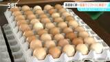 猛暑でニワトリも夏バテ…エッグショック再び?養鶏場では個数が減少 大きさも小さめ タマゴ高騰で飲食店は先行きに懸念 |TBS NEWS DIG