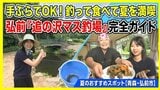 手ぶらでOK! 釣って食べて夏を満喫　弘前『追の沢マス釣場』完全ガイド 夏のおすすめスポット【青森・弘前市】　|　青森のニュース│ATV NEWS│青森テレビ