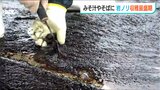 波が穏やかで1キロも採取「磯の香りが広がる岩ノリ」佐渡で収穫最盛期 |TBS NEWS DIG