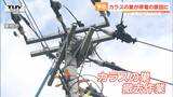カラスの巣が停電の原因に　電信柱の巣の撤去作業　|　山形のニュース│TUYテレビユー山形