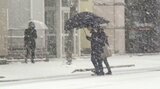 県内は6日明け方にかけて警報級の大雪のおそれ 交通障害や農作物の管理に警戒を 大分 | 大分のニュース|OBS NEWS|大分放送