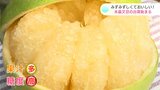 みずみずしくておいしい！秋の味覚・水晶文旦の出荷始まる|TBS NEWS DIG